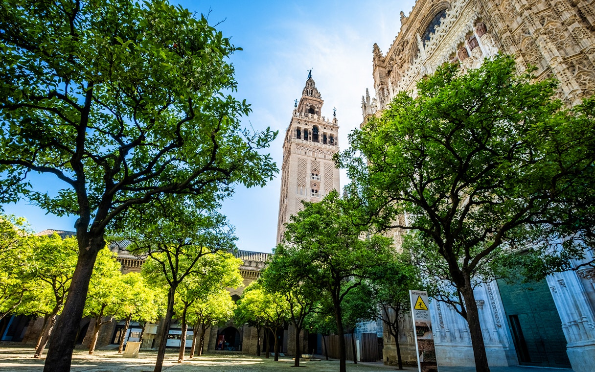 Giralda Tower and Seville Cathedral with surrounding orange trees.
