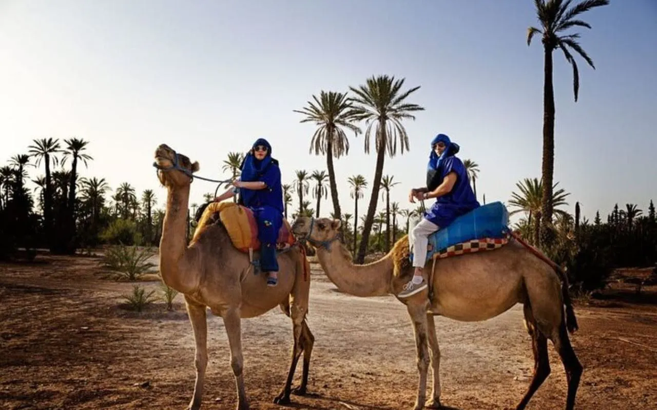 Camel ride in Marrakesh palm grove with riders in traditional attire.