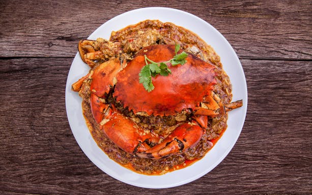 Singapore chilli crab served on a white plate with a garnish of cilantro.