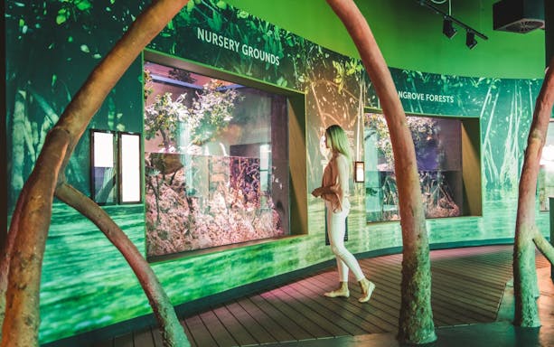 cairns aquarium general admission ticket-3