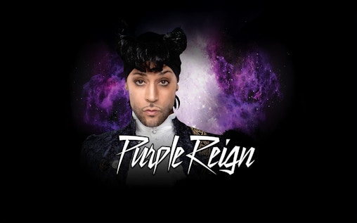 Purple Reign (Reino Púrpura)