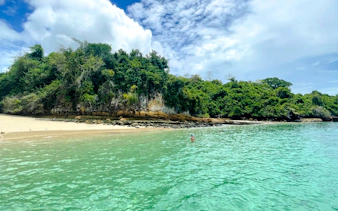 Beach and lush greenery at Archipiélago de las Perlas, Panama City tour.