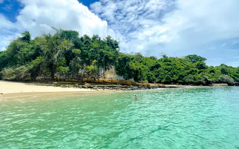 Beach and lush greenery at Archipiélago de las Perlas, Panama City tour.