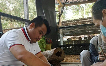 Visitors interacting at PD Ostrich Show Farm, Dubai, near an enclosure.