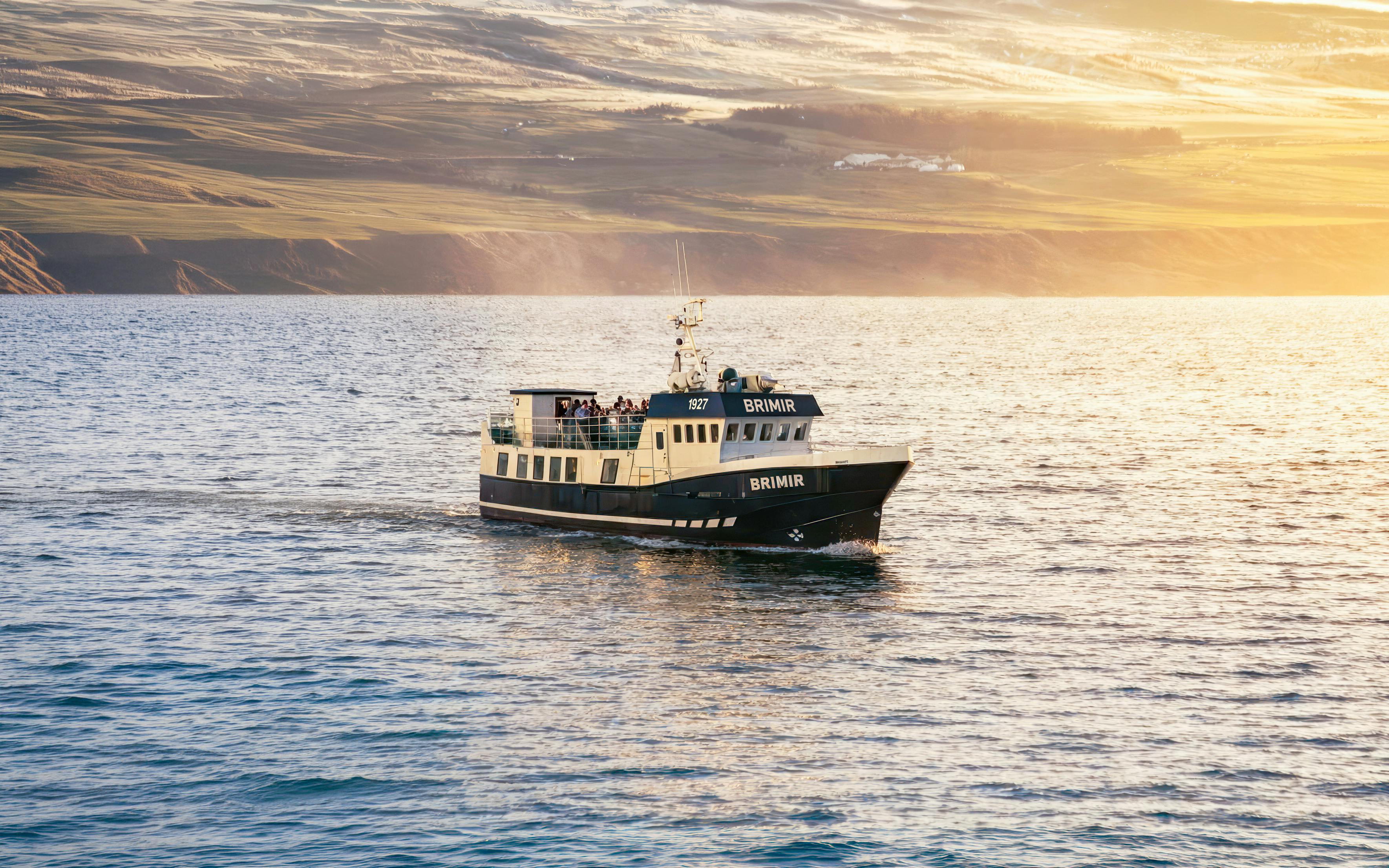 Whale watching boat on Eyjafjörður near Hjalteyri, Iceland.