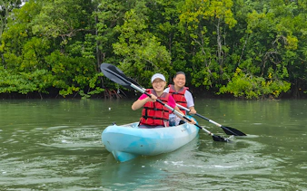 Kayakers paddling through mangroves at Pulau Ubin, Singapore.