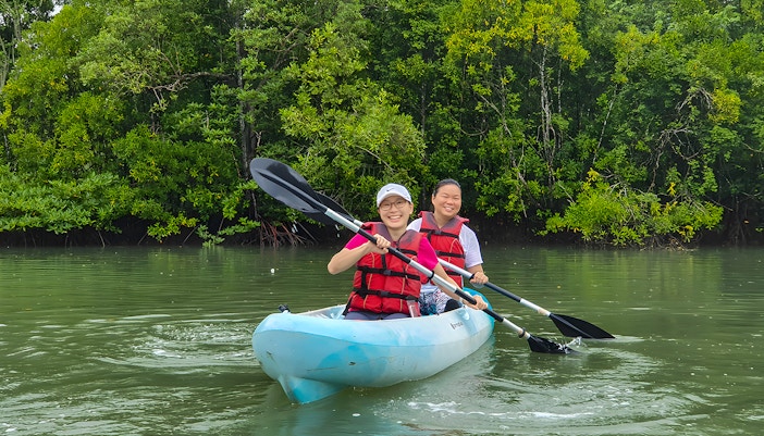 Kayakers paddling through mangroves at Pulau Ubin, Singapore.