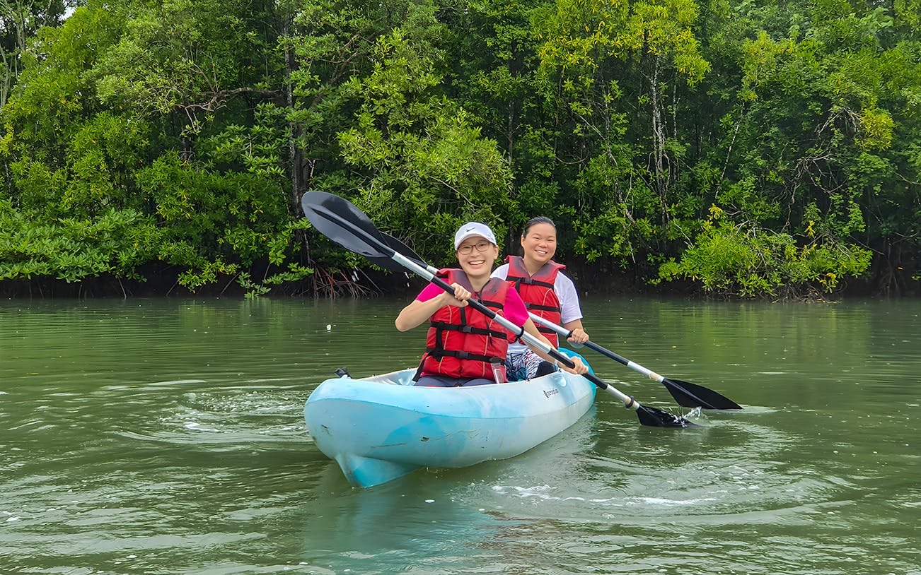 Kayakers paddling through mangroves at Pulau Ubin, Singapore.