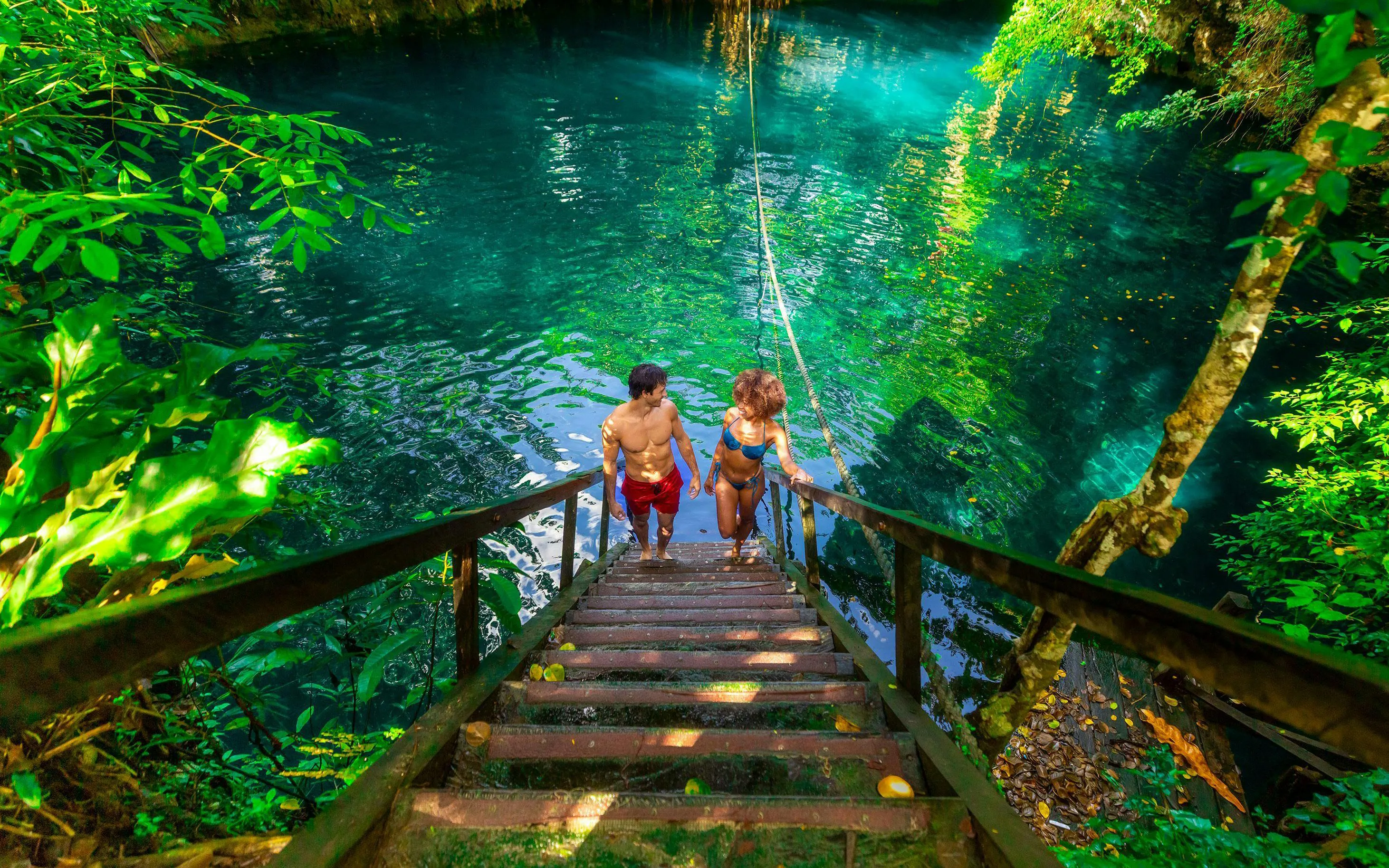 Visitors descending stairs into a cenote in Cancun, surrounded by lush greenery and clear water.