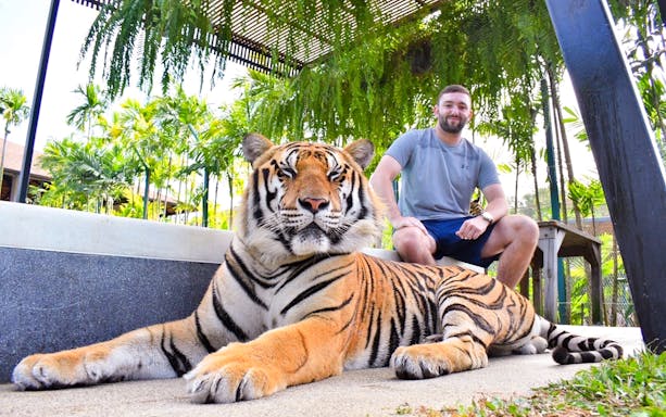 Man sitting beside a tiger at Tiger Park during 6-hour tour with hotel transfers.