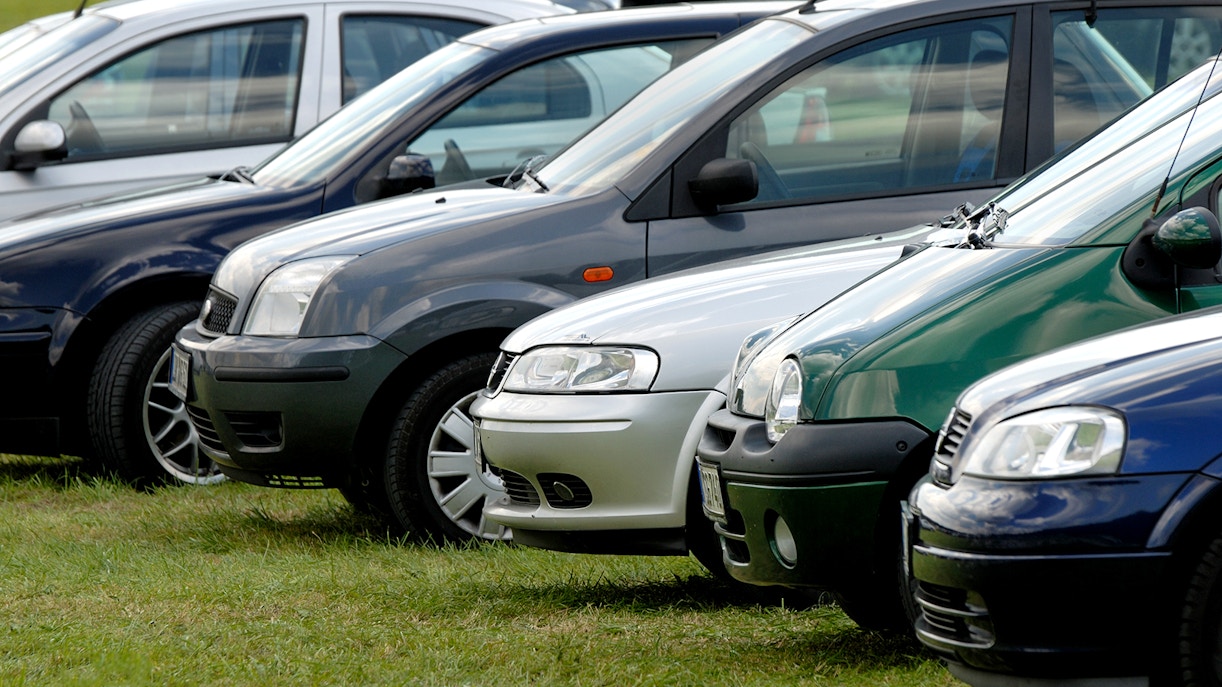 Cars parked on grass at Keukenhof parking area.