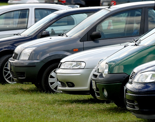 Cars parked on grass at Keukenhof parking area.