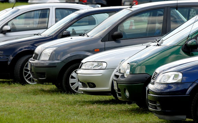 Cars parked on grass at Keukenhof parking area.