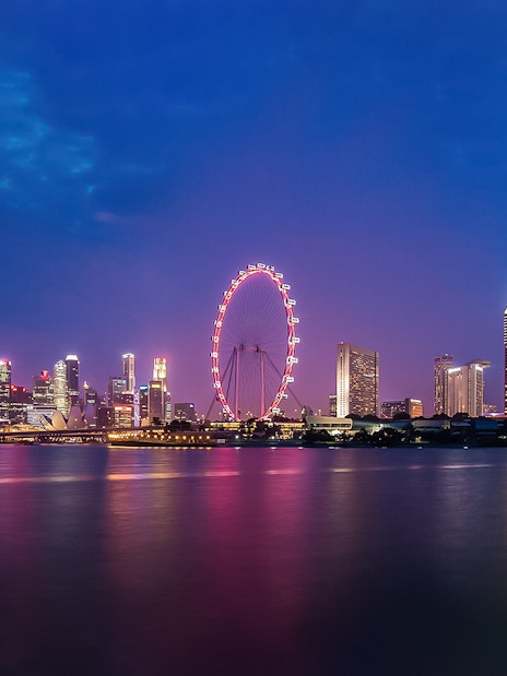 Singapore skyline at night featuring the illuminated Singapore Flyer.