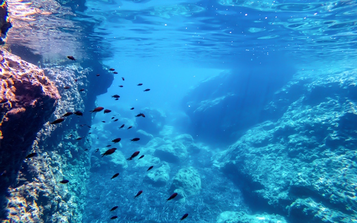 Underwater view of Blue Cave with fish swimming, Dubrovnik boat tour.