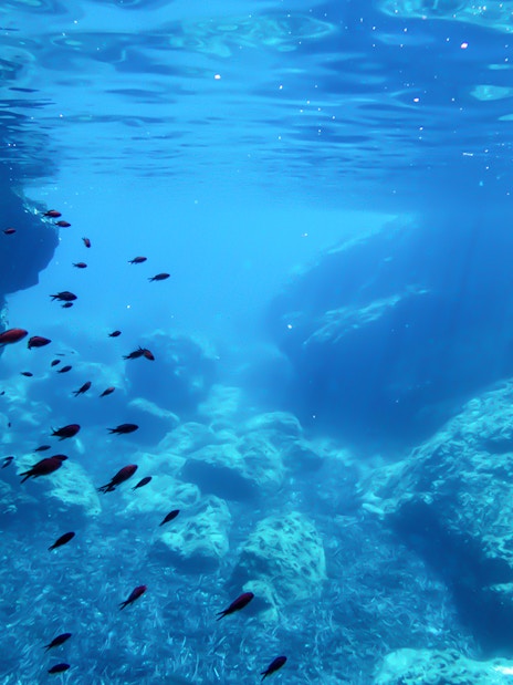 Underwater view of Blue Cave with fish swimming, Dubrovnik boat tour.