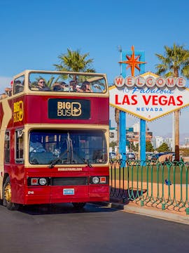 Bus Tours