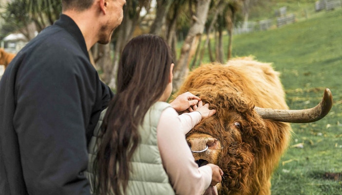 TSS Earnslaw steamship on Lake Wakatipu with mountains, Queenstown, Walter Peak Farm Tour.