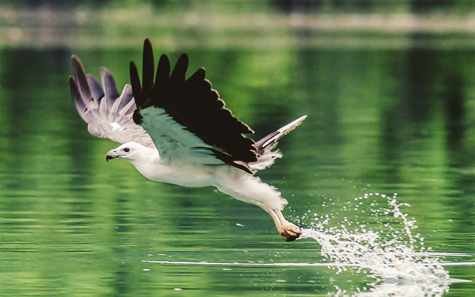 Payah Indah Discovery Wetlands