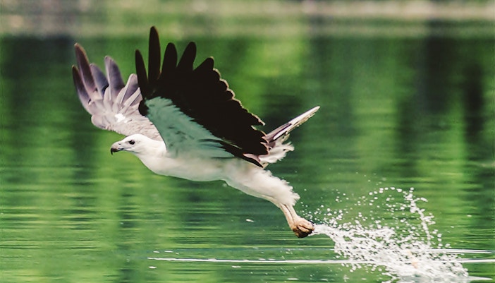 Payah Indah Discovery Wetlands