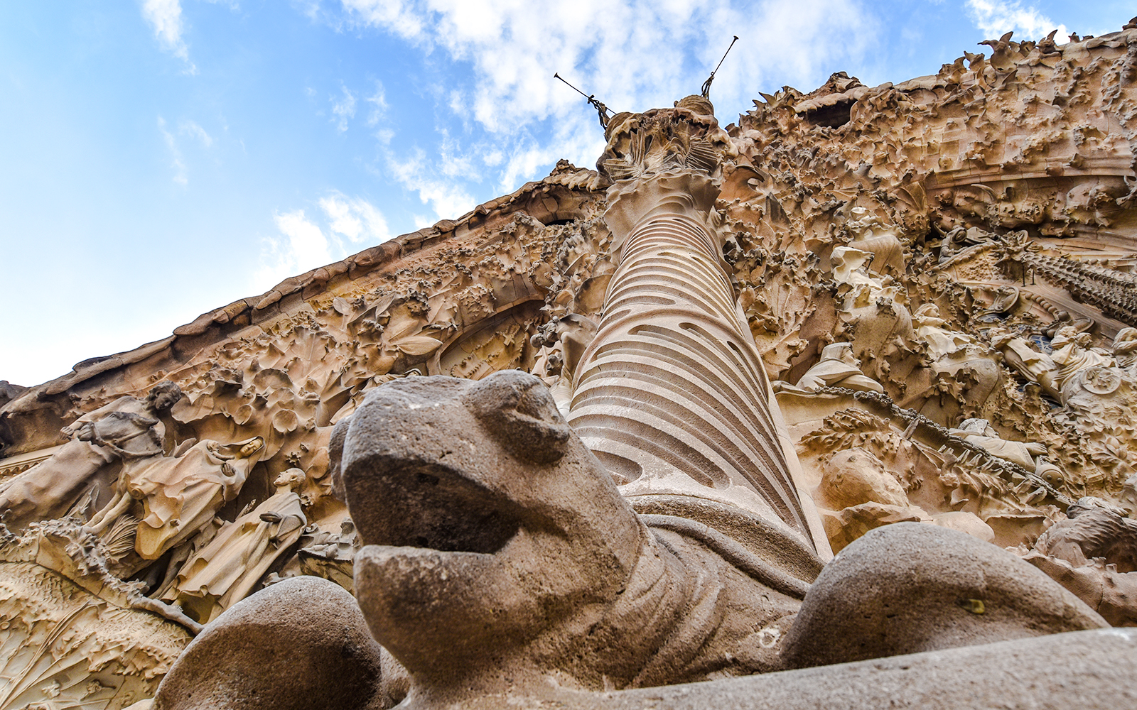 Carved turtle statue at Sagrada Familia, Barcelona facade.