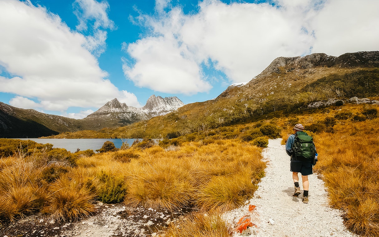 Hiker on trail in Cradle Mountain National Park, Tasmania, with rugged peaks and lake in view.