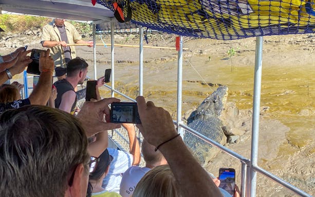 Tourists photographing a crocodile from a boat on the Jumping Crocodiles & Wildlife Tour.
