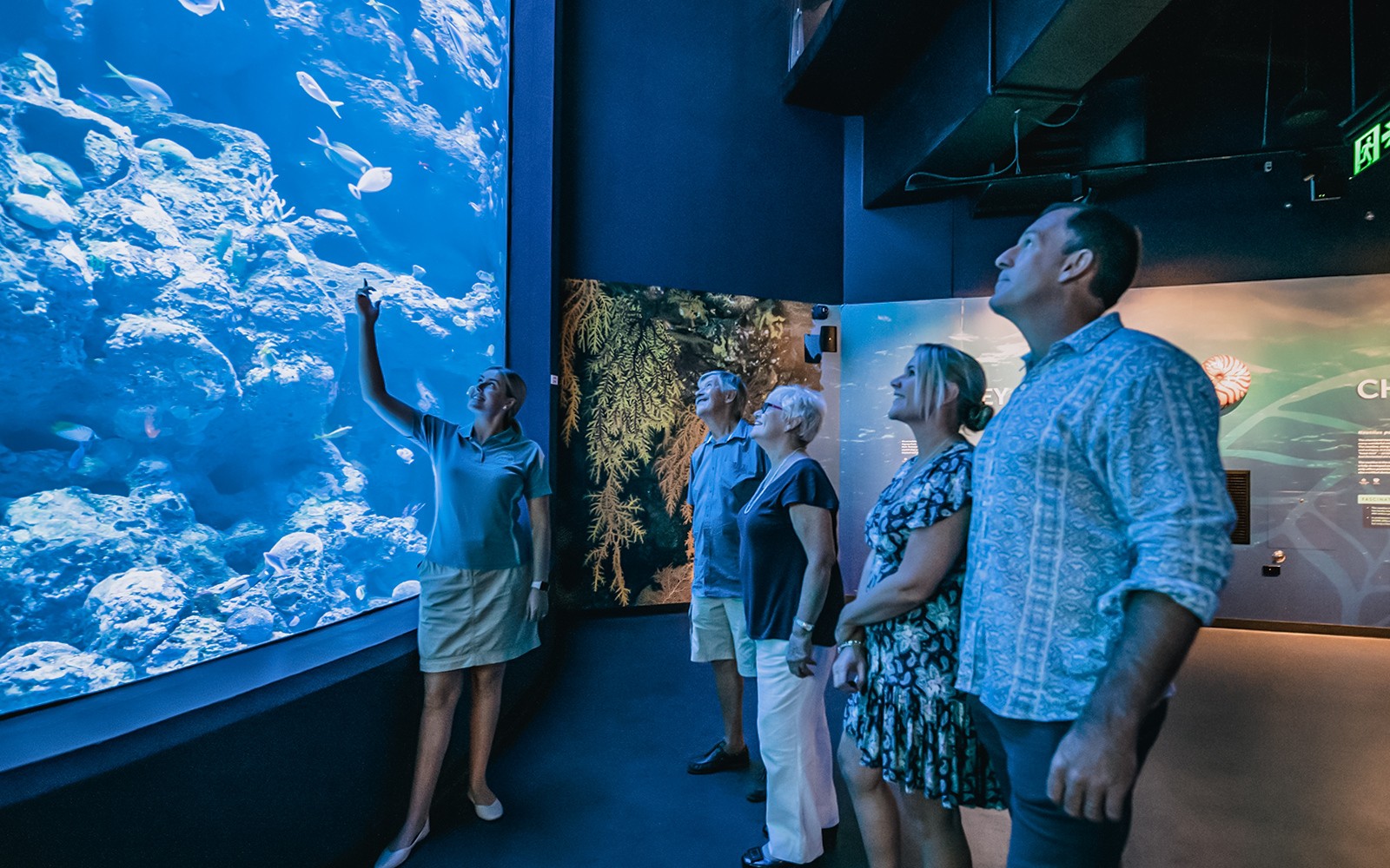 Visitors observing marine life during a Night at the Aquarium guided nocturnal tour.