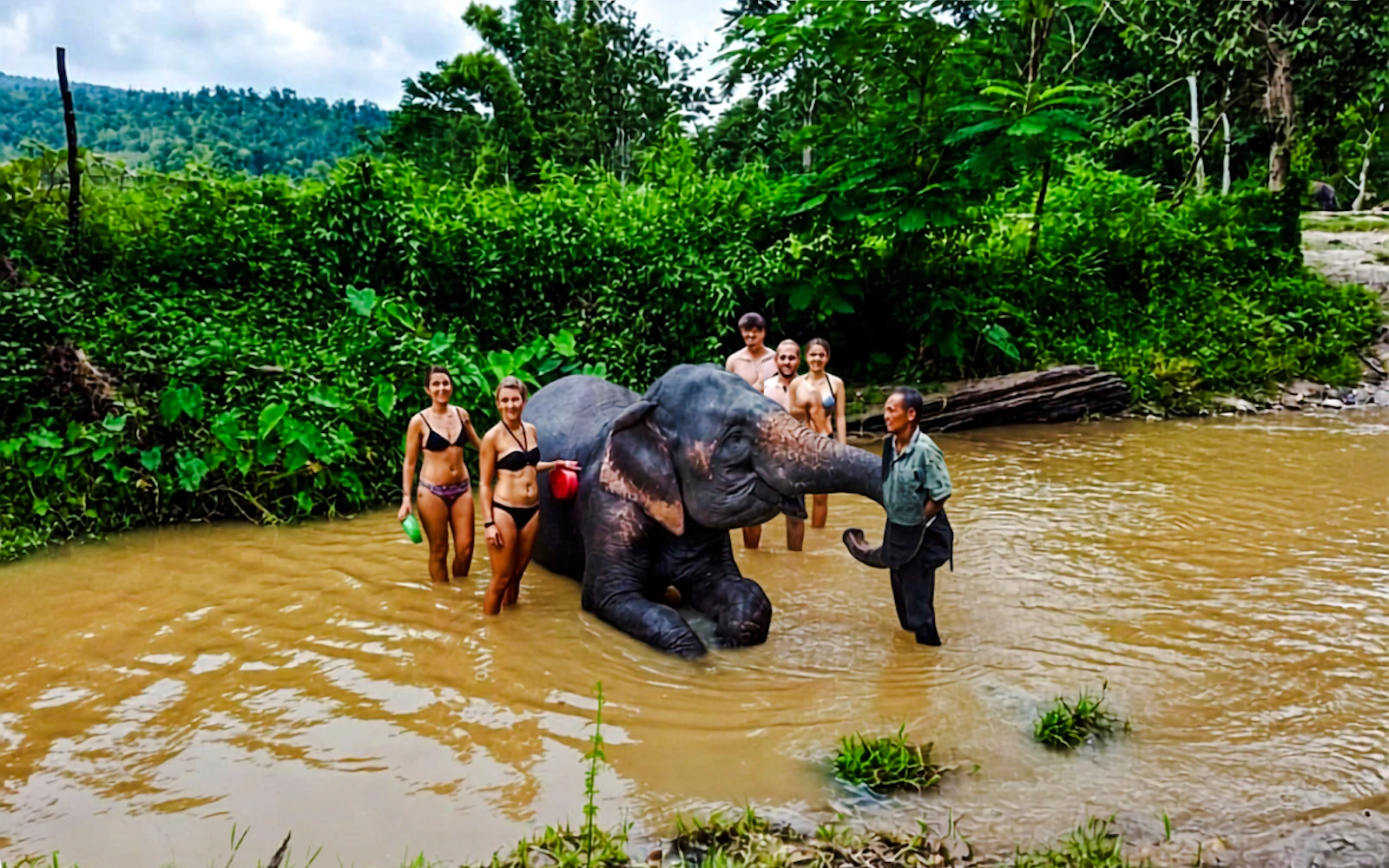 From Chiang Mai: Elephant Feeding & Bathing, Rafting and Waterfall Tour (Product 55018)