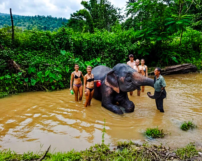 From Chiang Mai: Elephant Feeding & Bathing, Rafting and Waterfall Tour (Product 55018)