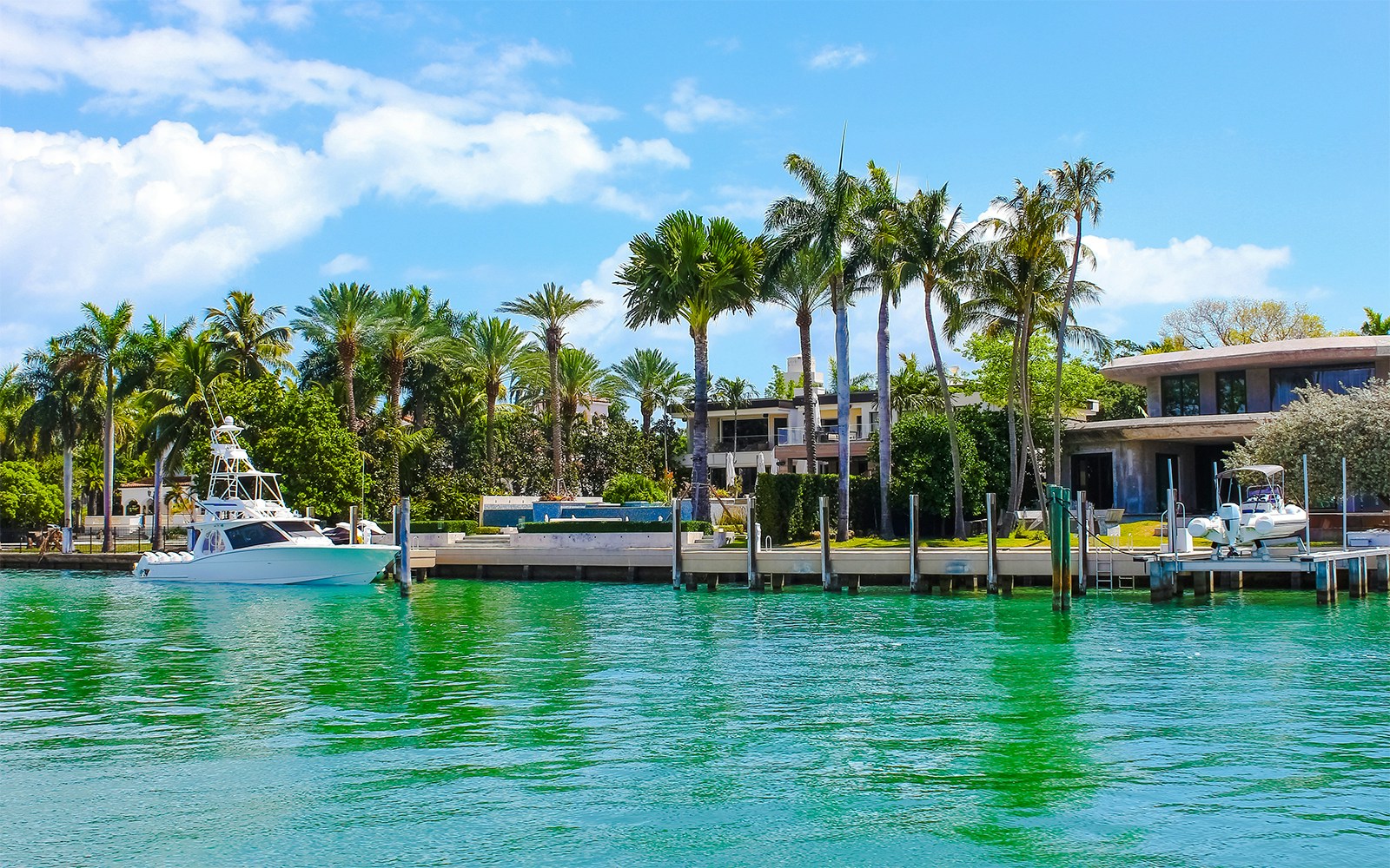 Star Island mansion with palm trees and waterfront view, Miami tour highlight.