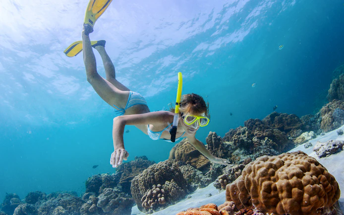 Snorkeler exploring coral reefs near shipwrecks in clear waters of Moreton Island, Brisbane, Australia.