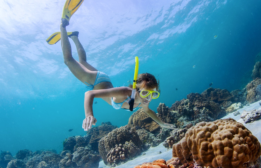 Snorkeler exploring coral reefs near shipwrecks in clear waters of Moreton Island, Brisbane, Australia.