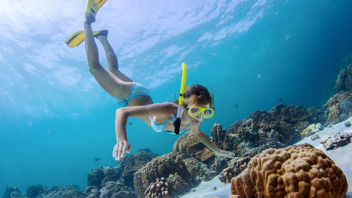 Snorkeler exploring coral reefs near shipwrecks in clear waters of Moreton Island, Brisbane, Australia.