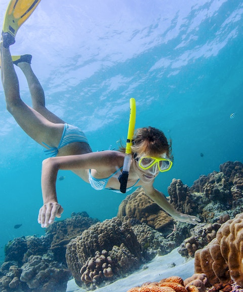 Snorkeler exploring coral reefs near shipwrecks in clear waters of Moreton Island, Brisbane, Australia.
