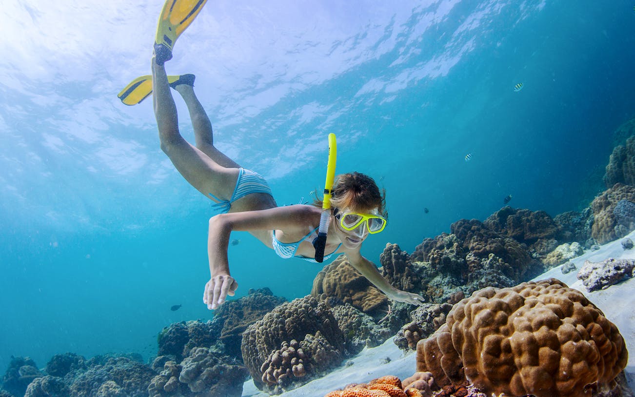 Snorkeler exploring coral reefs near shipwrecks in clear waters of Moreton Island, Brisbane, Australia.