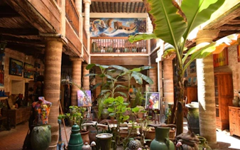 Essaouira gallery interior with art displays and plants, part of the Medina guided tour.