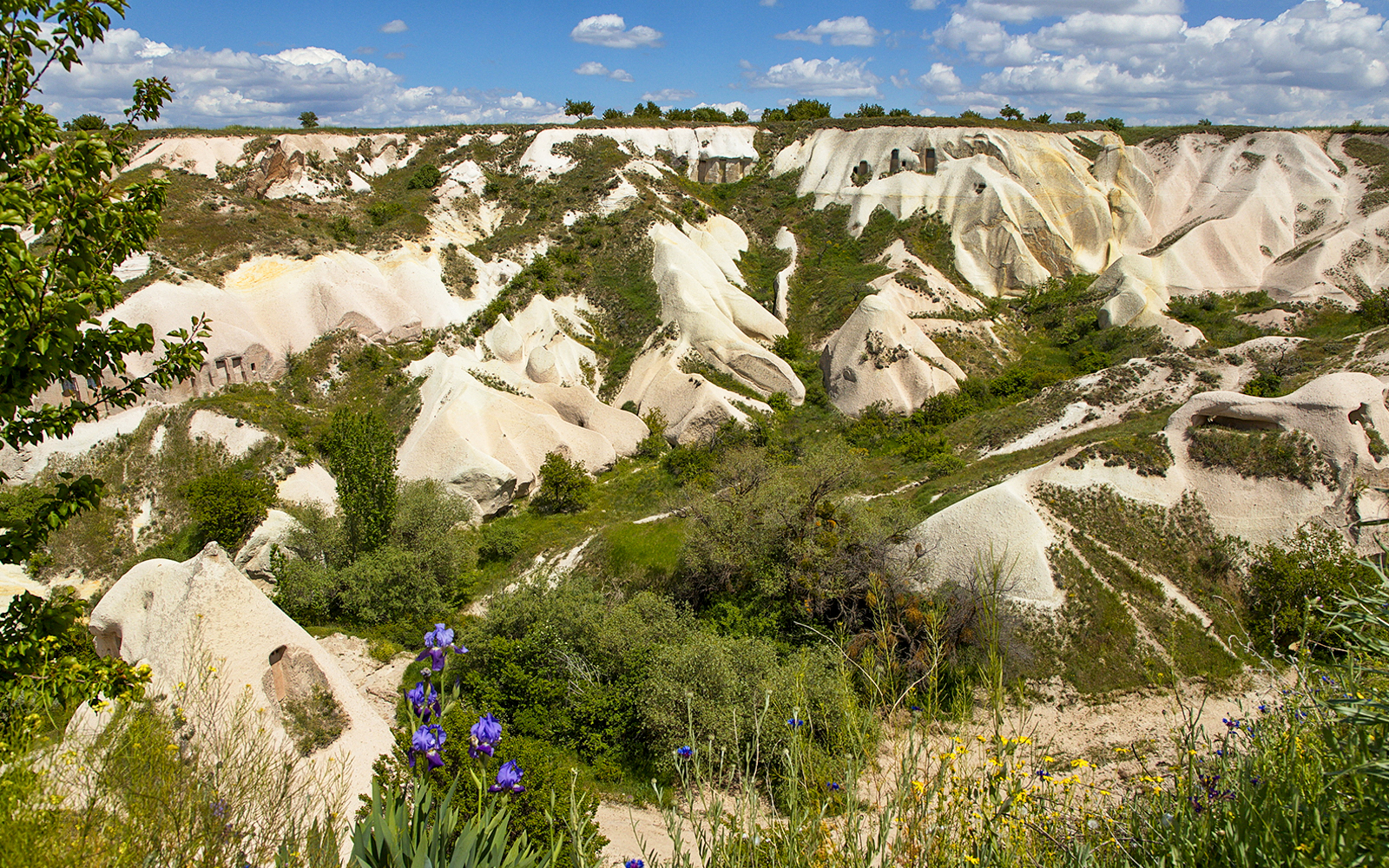 Rock formations and greenery in Pigeon Valley, Cappadocia, Turkey.