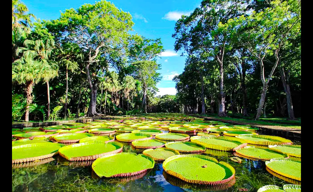 Mauritius Full-Day Private Custom Itinerary Tour Image 3