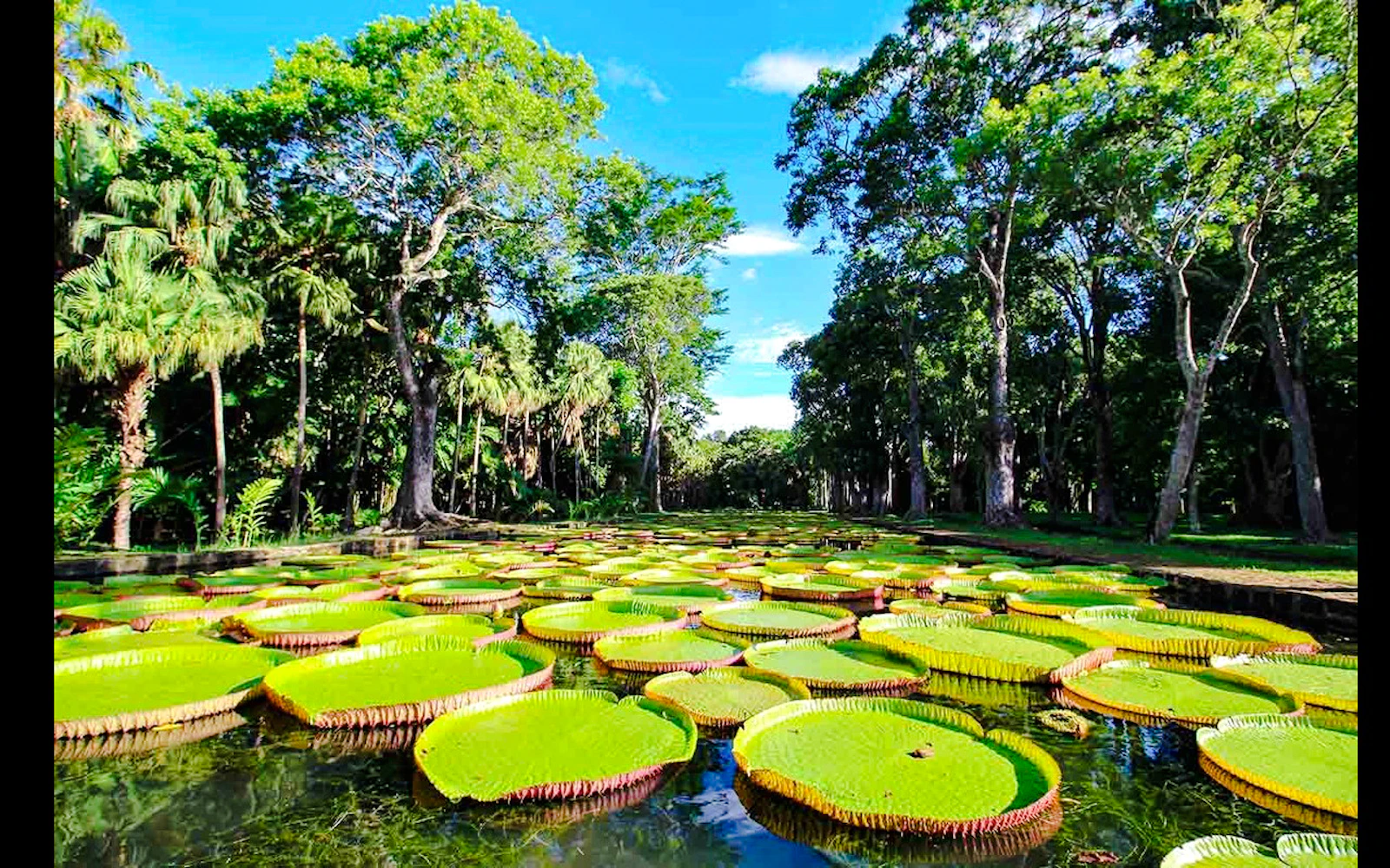 Mauritius Full-Day Private Custom Itinerary Tour Image 3