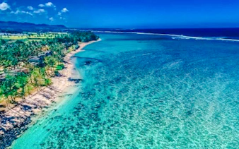 bel ombre plajı'nda at binme etkinliği ve öğle yemeği dahil, mauritius'un güneybatı bölgesi özel turu-17