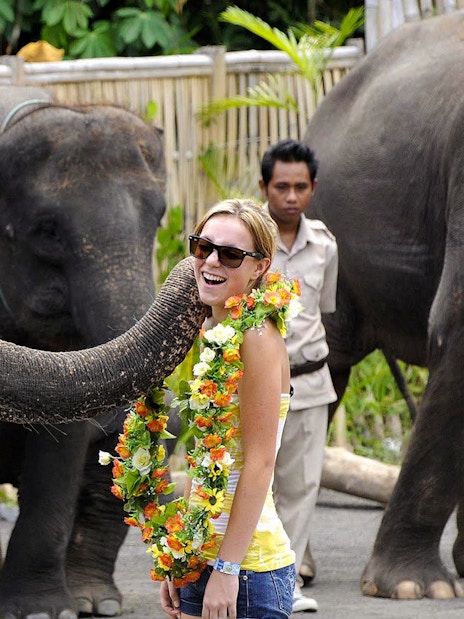 Elephant interacting with a visitor at Bali Safari & Marine Park.