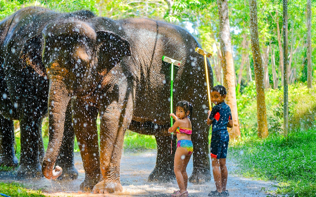 Children showering an elephant at Lily Elephant Camp, Phuket.