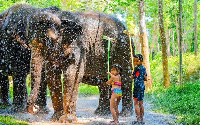 Children showering an elephant at Lily Elephant Camp, Phuket.