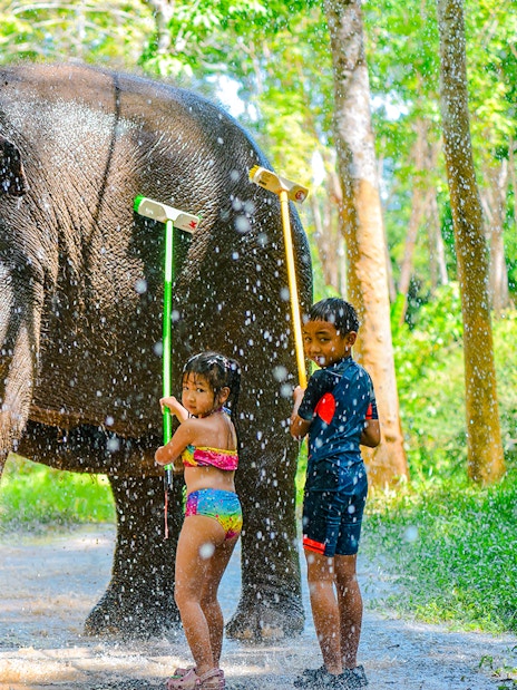 Children showering an elephant at Lily Elephant Camp, Phuket.