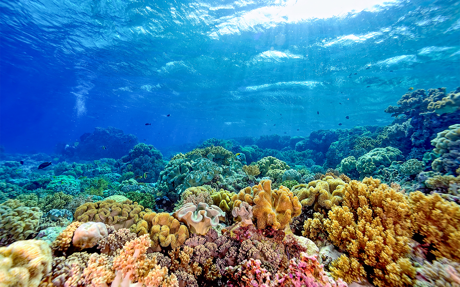 Marineland of Antibes