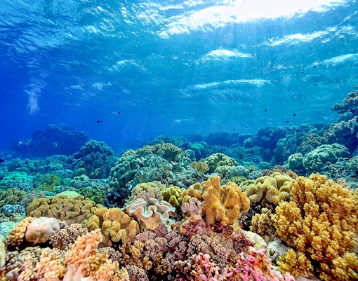 Marineland of Antibes