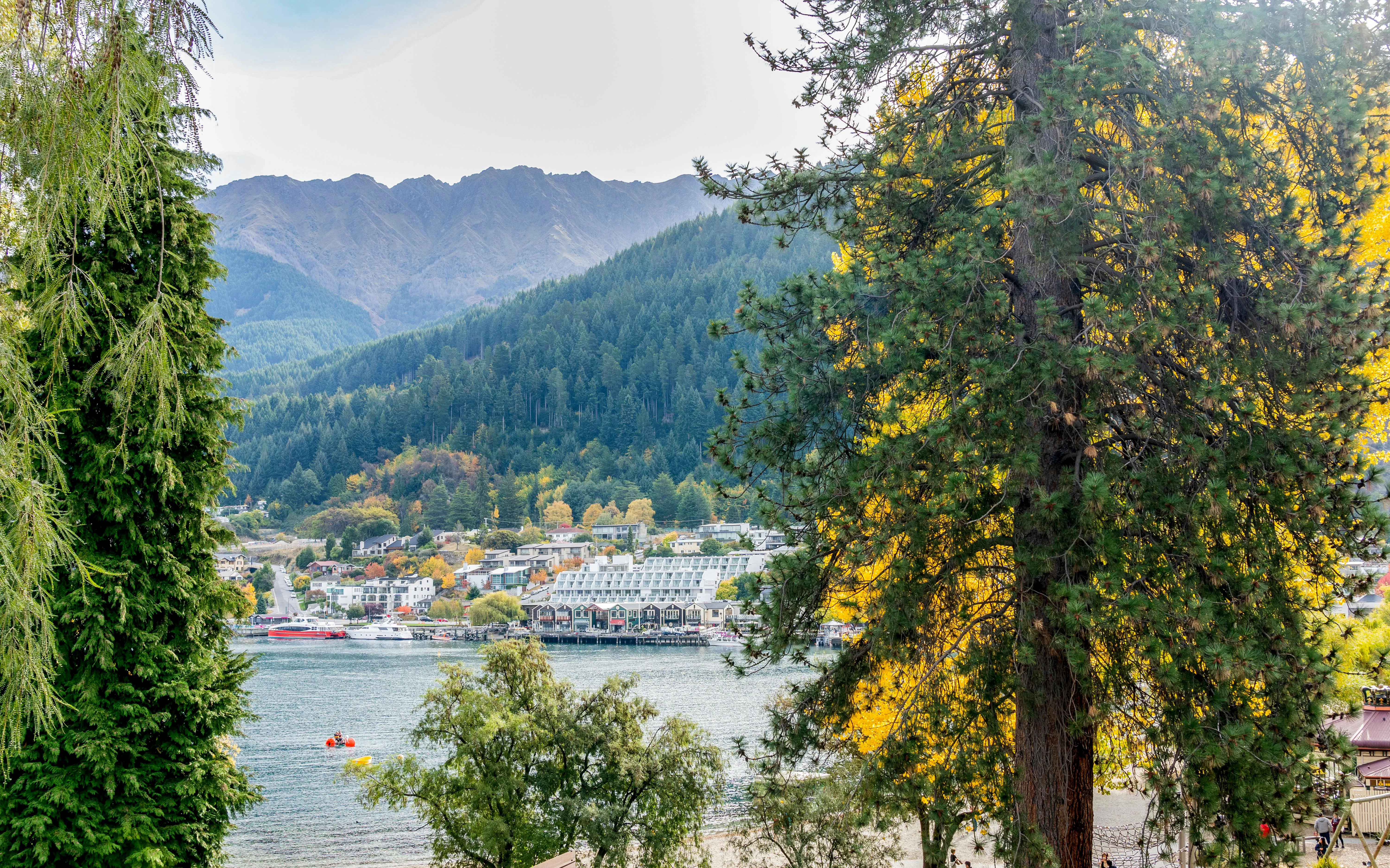 View of Steamer Wharf across Lake Wakatipu framed by trees in Queenstown Gardens.