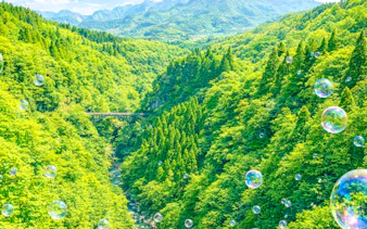 fukuoka'dan: takachiho kanyonu ve amaterasu demiryolu turu-9