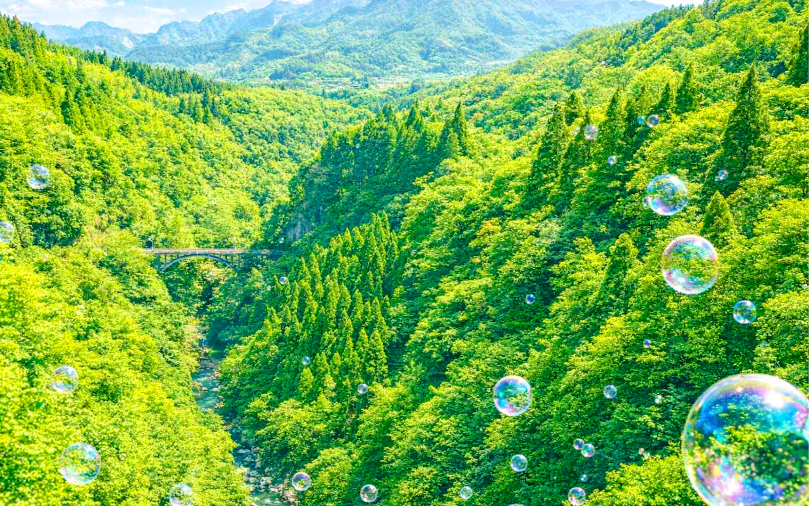 From Fukuoka: Takachiho Gorge and Amaterasu Railway Tour Image 9